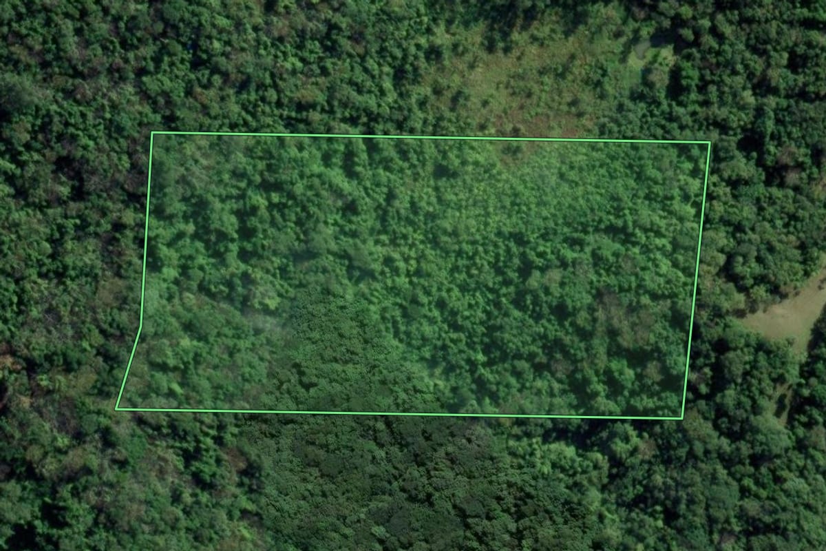 Imagem de satélite do imóvel rural em Rio dos Cedros (SC), com o contorno declarado no CAR desenhado por cima.