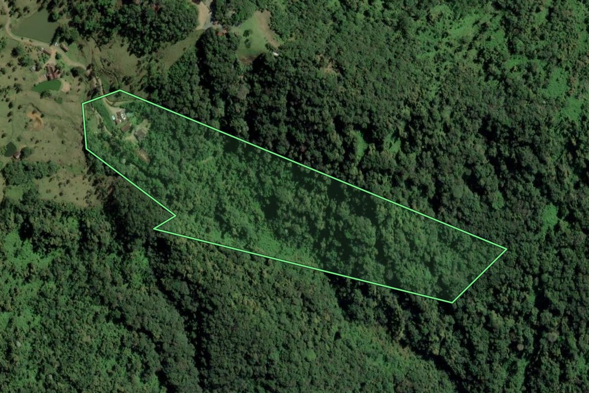 Imagem de satélite do imóvel rural em Rio dos Cedros (SC), com o contorno declarado no CAR desenhado por cima.