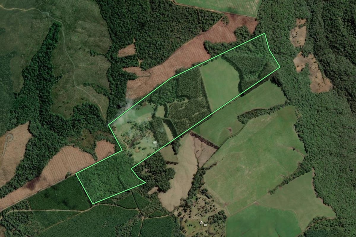 Imagem de satélite do imóvel rural em Rio dos Cedros (SC), com o contorno declarado no CAR desenhado por cima.