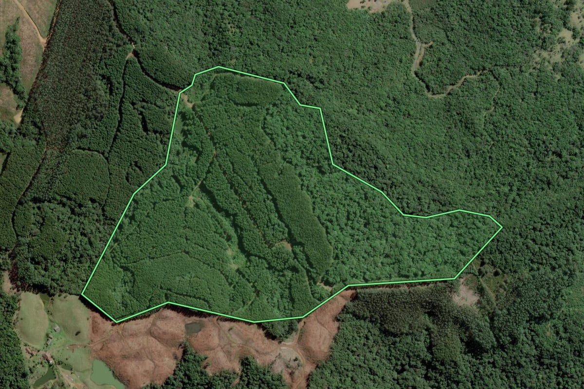 Imagem de satélite do imóvel rural em Rio dos Cedros (SC), com o contorno declarado no CAR desenhado por cima.