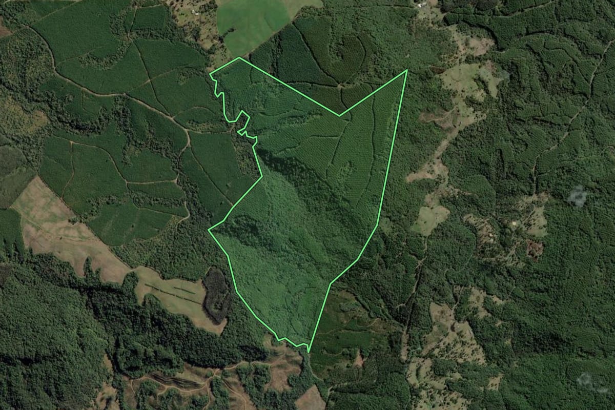 Imagem de satélite do imóvel rural em Rio dos Cedros (SC), com o contorno declarado no CAR desenhado por cima.