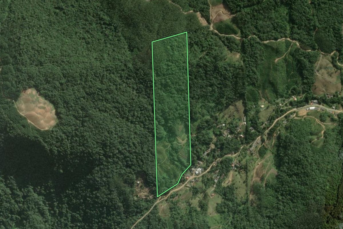 Imagem de satélite do imóvel rural em Rio dos Cedros (SC), com o contorno declarado no CAR desenhado por cima.