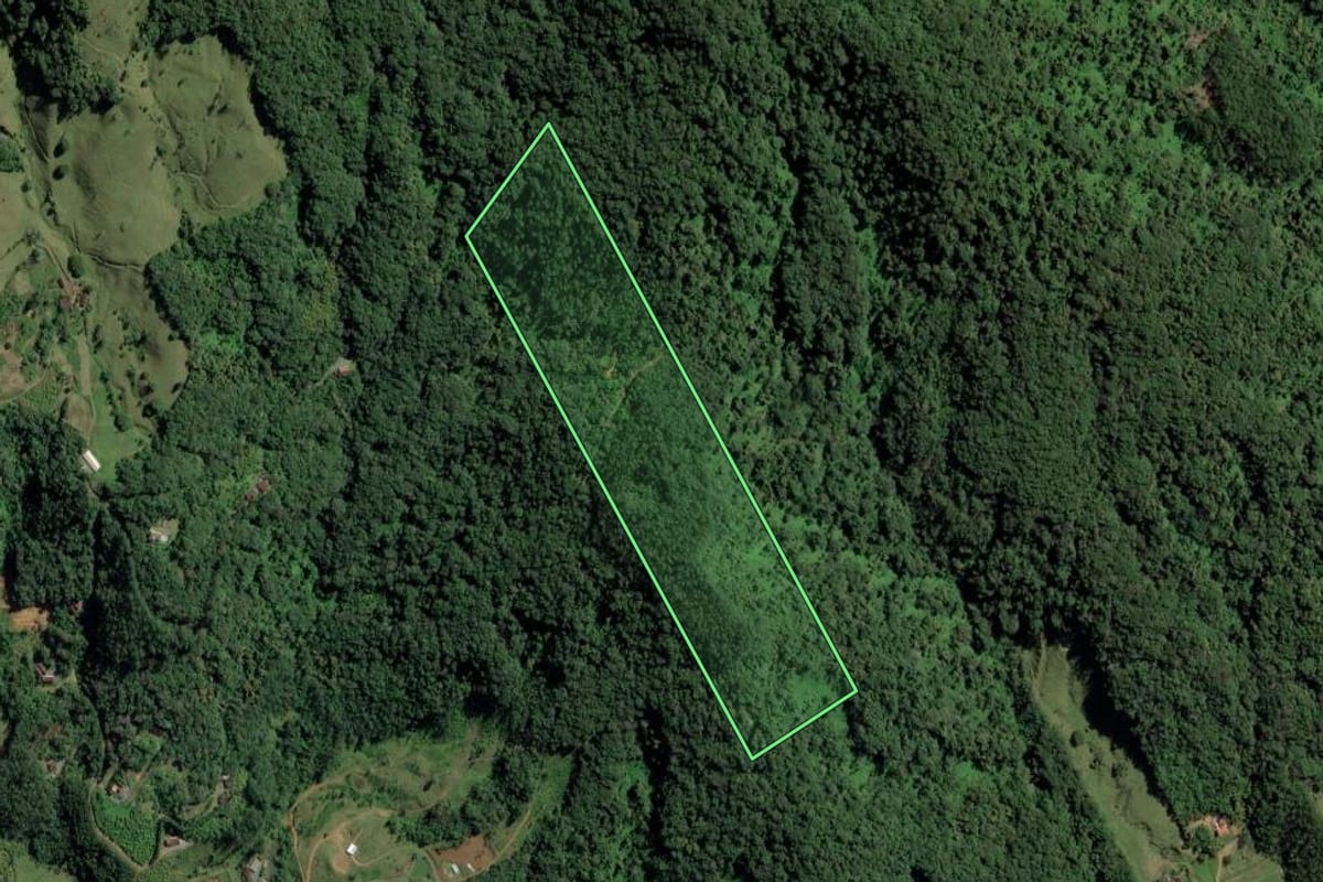 Imagem de satélite do imóvel rural em Rio dos Cedros (SC), com o contorno declarado no CAR desenhado por cima.