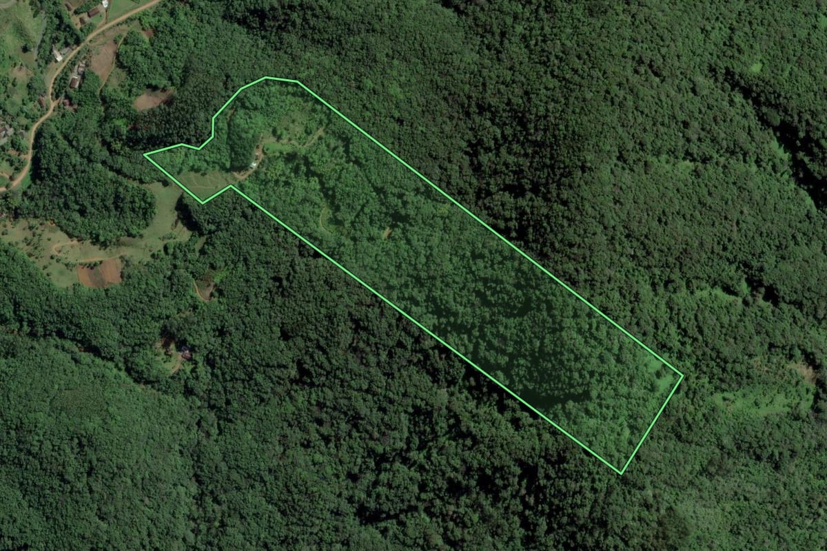 Imagem de satélite do imóvel rural em Rio dos Cedros (SC), com o contorno declarado no CAR desenhado por cima.