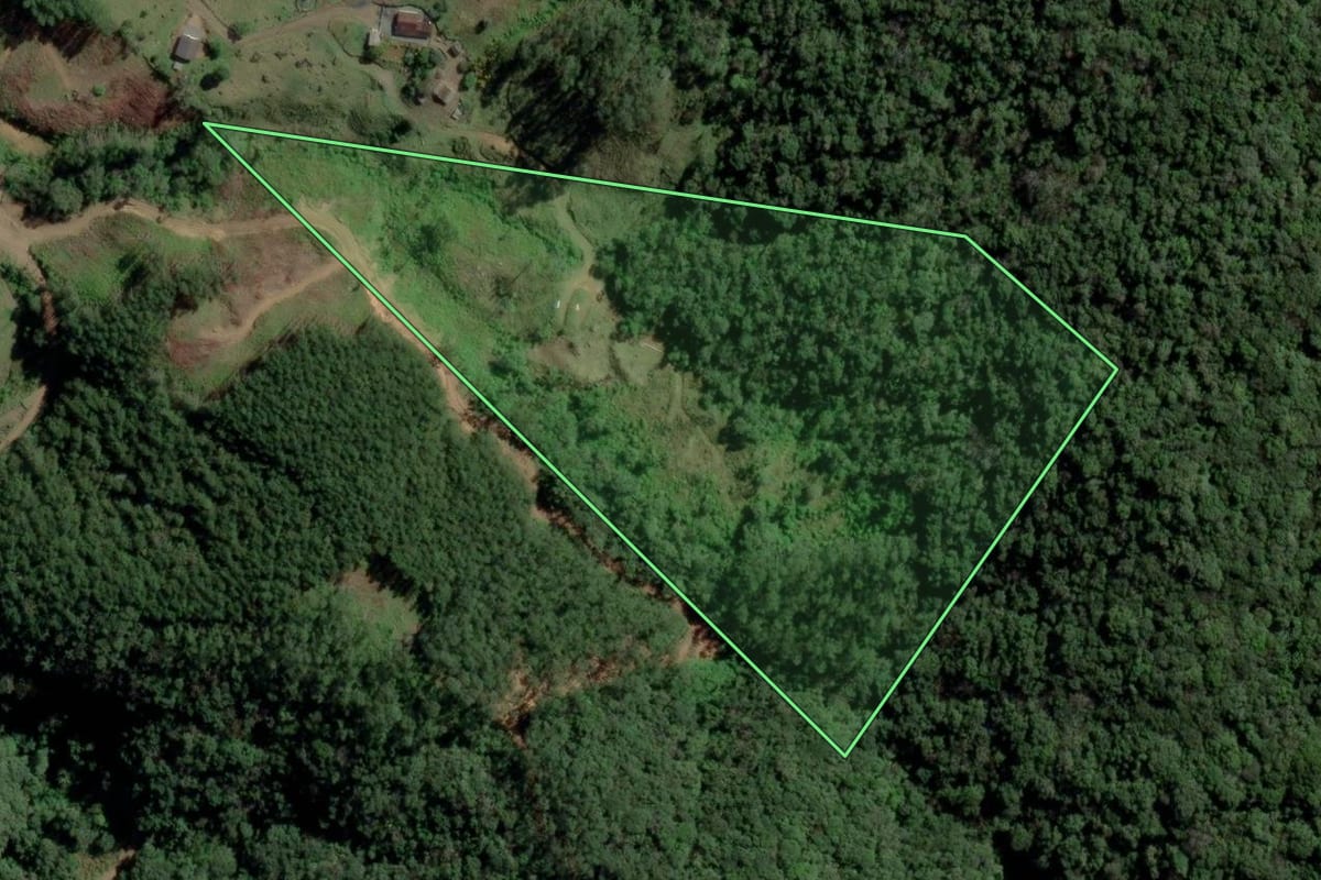 Imagem de satélite do imóvel rural em Rio dos Cedros (SC), com o contorno declarado no CAR desenhado por cima.