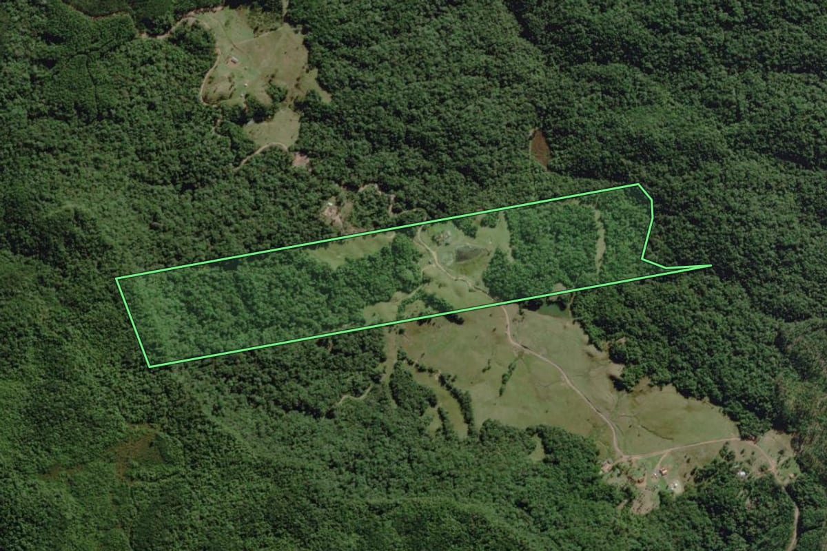 Imagem de satélite do imóvel rural em Rio dos Cedros (SC), com o contorno declarado no CAR desenhado por cima.
