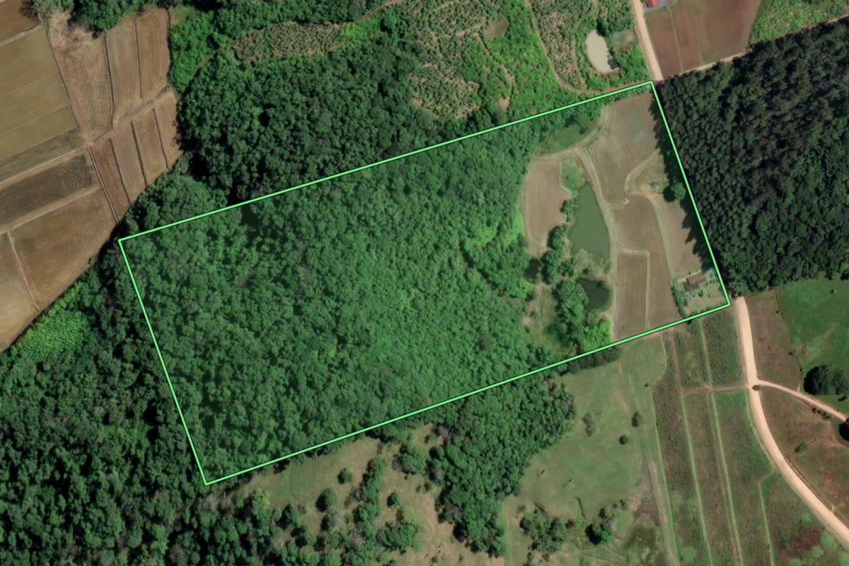 Imagem de satélite do imóvel rural em Rio dos Cedros (SC), com o contorno declarado no CAR desenhado por cima.