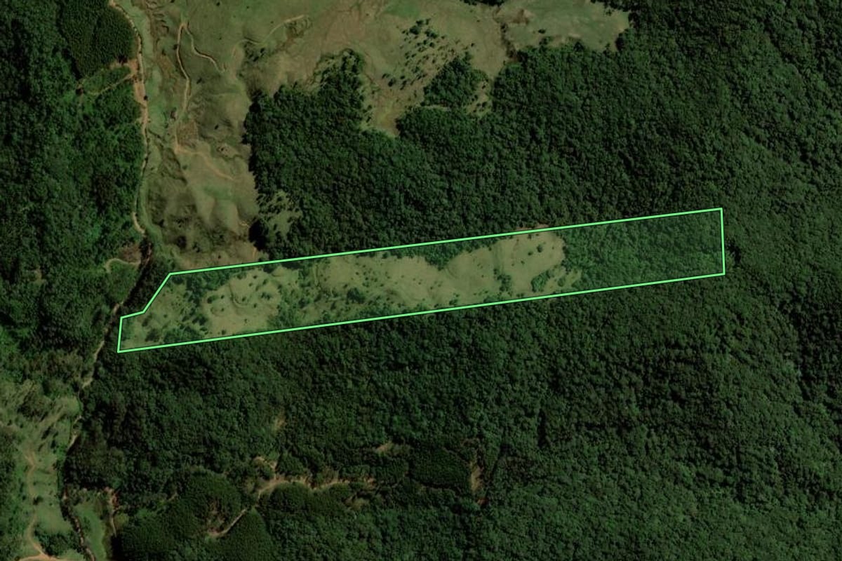 Imagem de satélite do imóvel rural em Rio dos Cedros (SC), com o contorno declarado no CAR desenhado por cima.