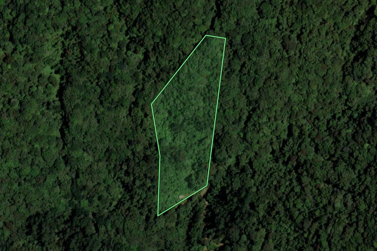 Imagem de satélite do imóvel rural em Rio dos Cedros (SC), com o contorno declarado no CAR desenhado por cima.