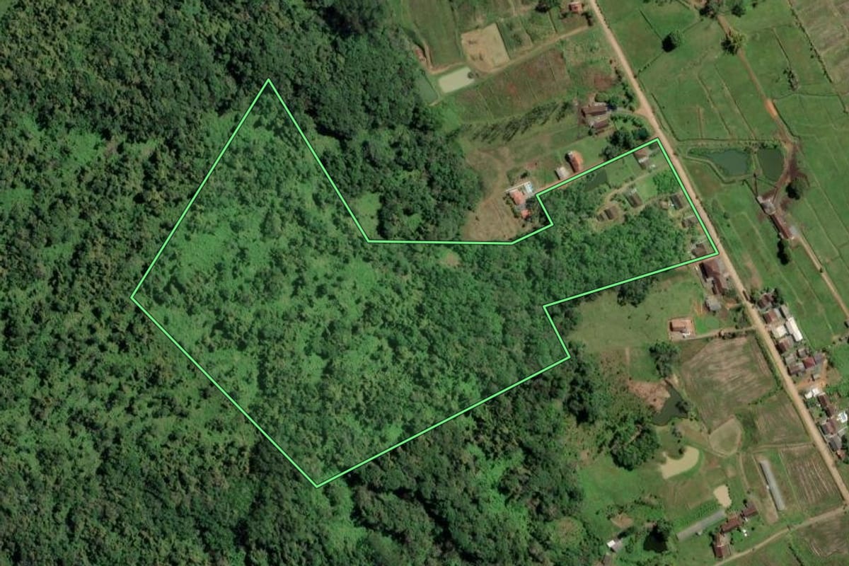 Imagem de satélite do imóvel rural em Rio dos Cedros (SC), com o contorno declarado no CAR desenhado por cima.