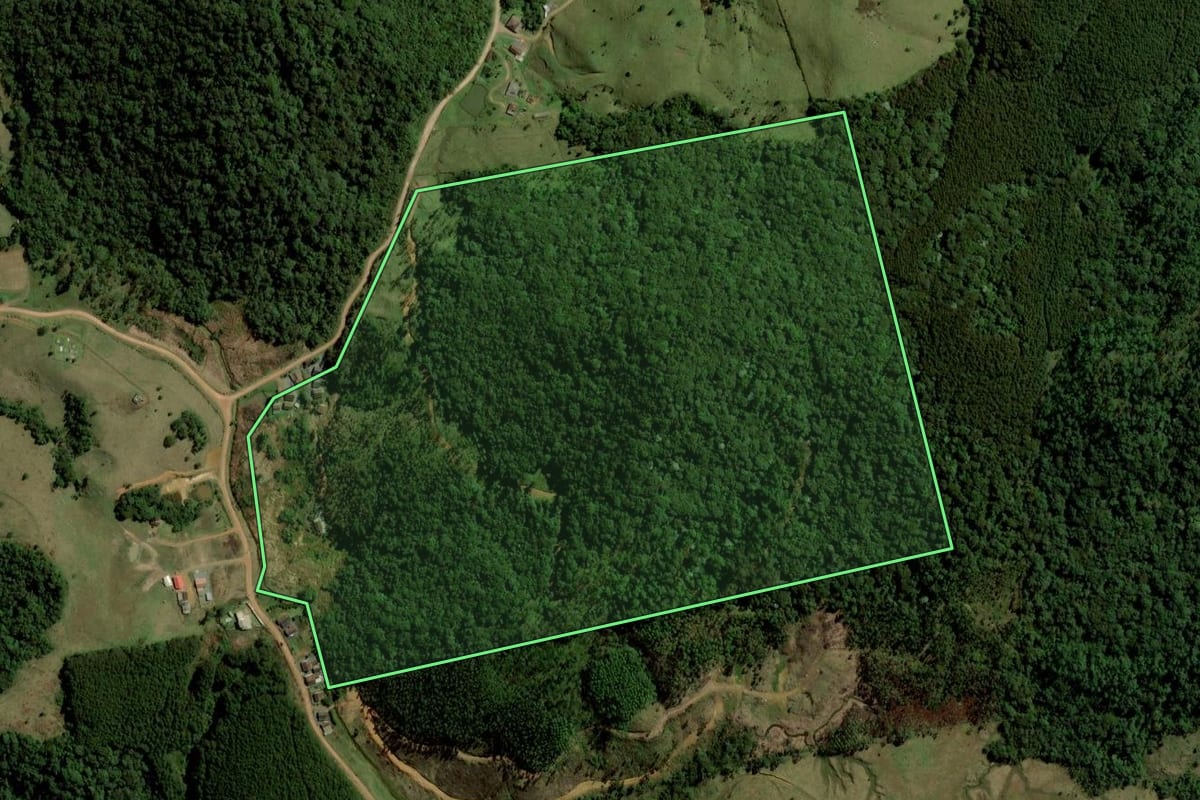 Imagem de satélite do imóvel rural em Rio dos Cedros (SC), com o contorno declarado no CAR desenhado por cima.
