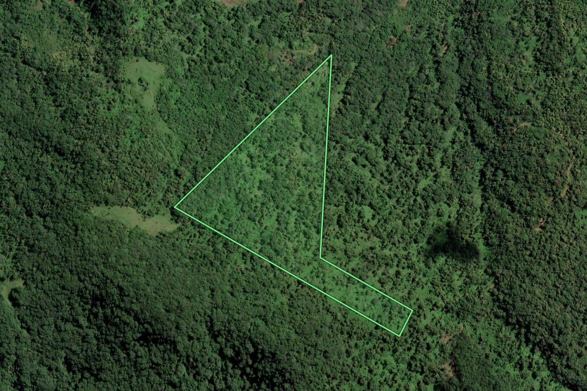 Imagem de satélite do imóvel rural em Rio dos Cedros (SC), com o contorno declarado no CAR desenhado por cima.