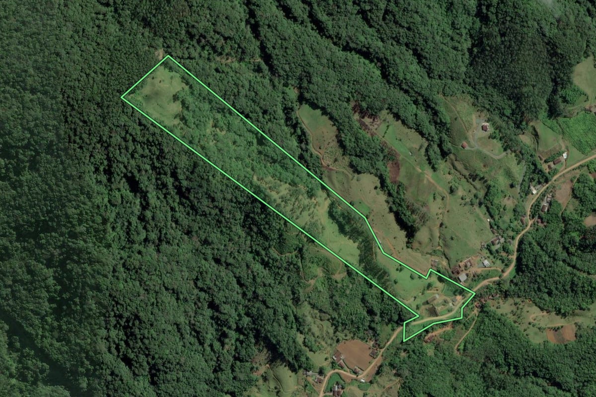Imagem de satélite do imóvel rural em Rio dos Cedros (SC), com o contorno declarado no CAR desenhado por cima.