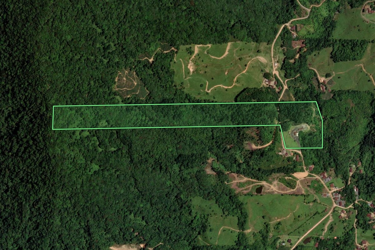 Imagem de satélite do imóvel rural em Rio dos Cedros (SC), com o contorno declarado no CAR desenhado por cima.