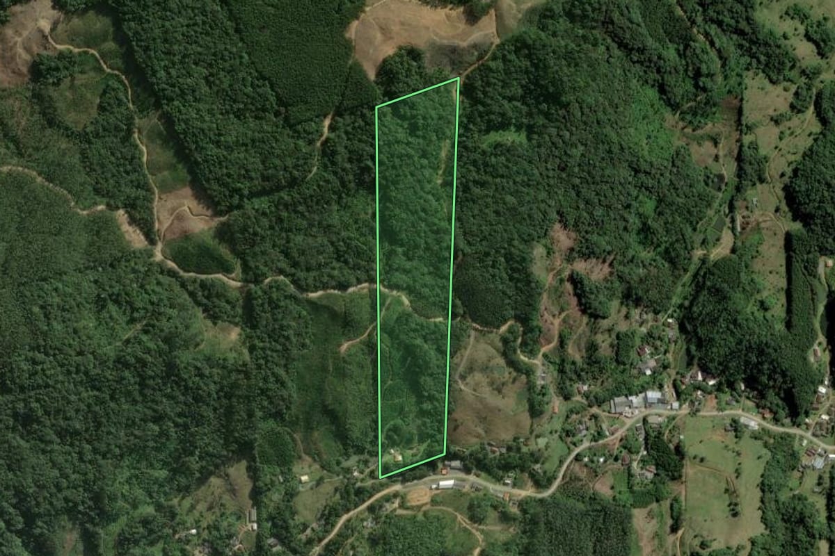 Imagem de satélite do imóvel rural em Rio dos Cedros (SC), com o contorno declarado no CAR desenhado por cima.