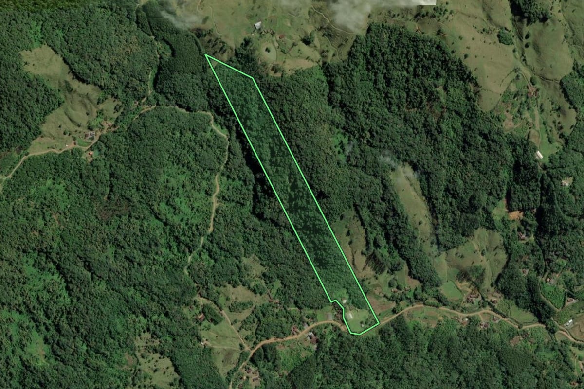 Imagem de satélite do imóvel rural em Rio dos Cedros (SC), com o contorno declarado no CAR desenhado por cima.