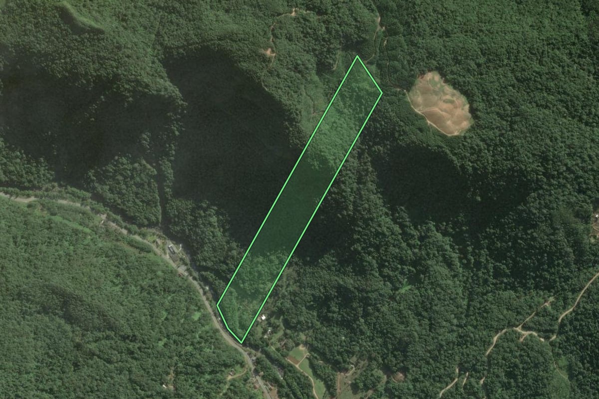 Imagem de satélite do imóvel rural em Rio dos Cedros (SC), com o contorno declarado no CAR desenhado por cima.