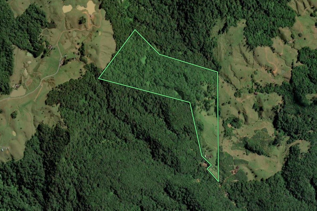 Imagem de satélite do imóvel rural em Rio dos Cedros (SC), com o contorno declarado no CAR desenhado por cima.