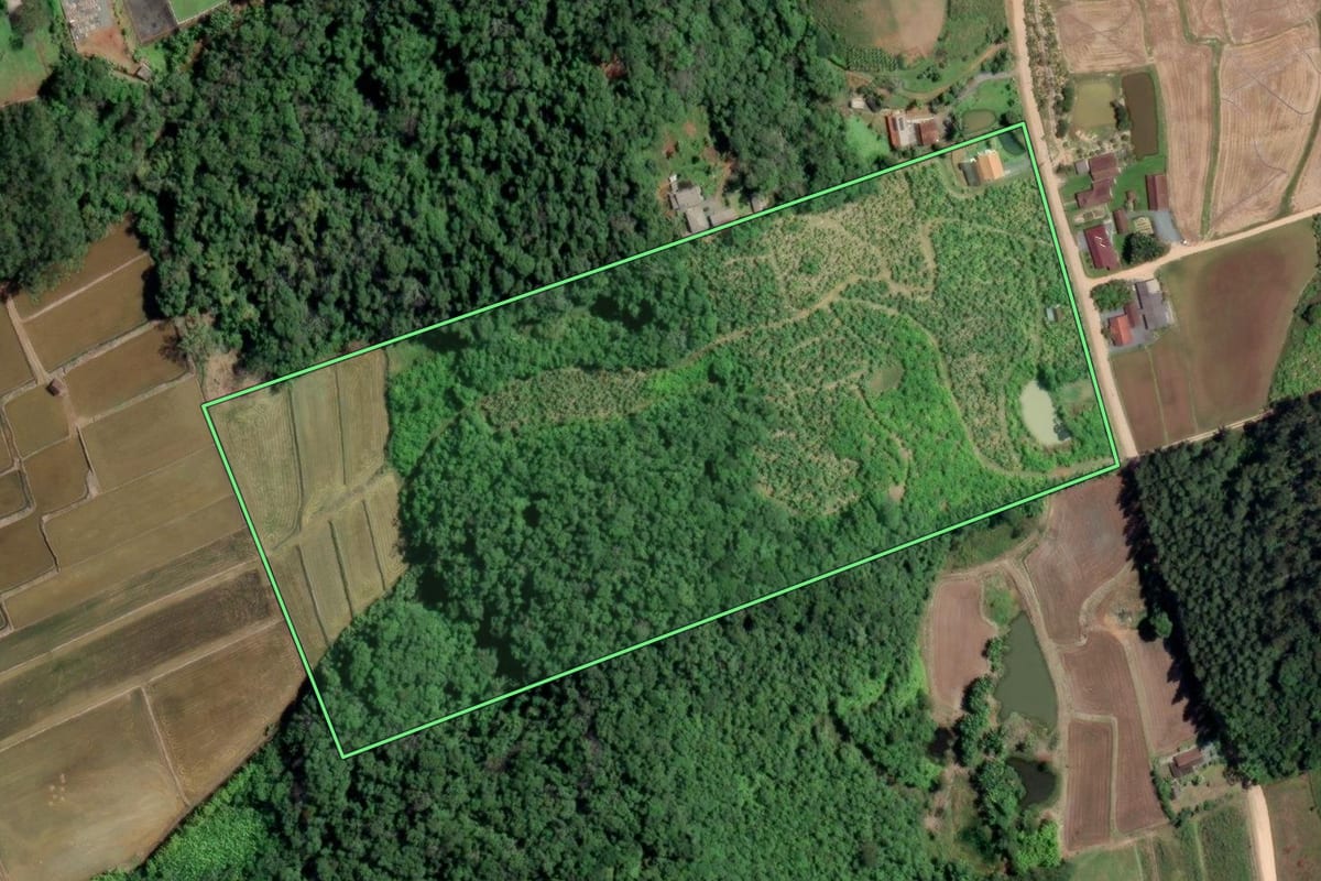 Imagem de satélite do imóvel rural em Rio dos Cedros (SC), com o contorno declarado no CAR desenhado por cima.