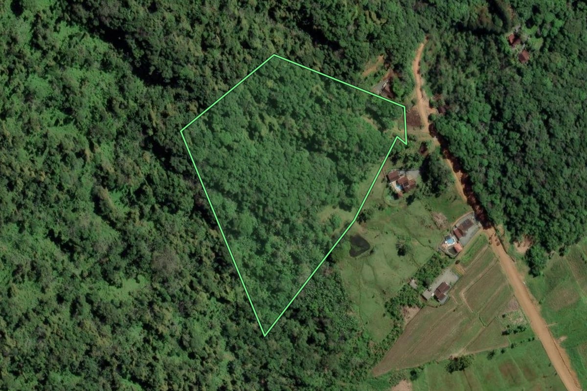 Imagem de satélite do imóvel rural em Rio dos Cedros (SC), com o contorno declarado no CAR desenhado por cima.