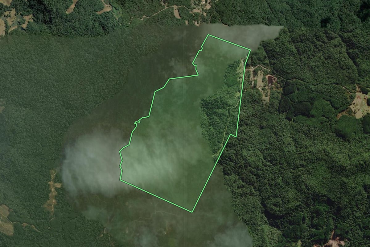 Imagem de satélite do imóvel rural em Rio dos Cedros (SC), com o contorno declarado no CAR desenhado por cima.