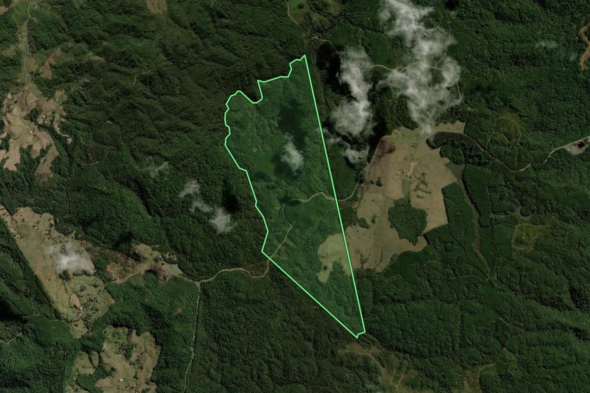 Imagem de satélite do imóvel rural em Rio dos Cedros (SC), com o contorno declarado no CAR desenhado por cima.