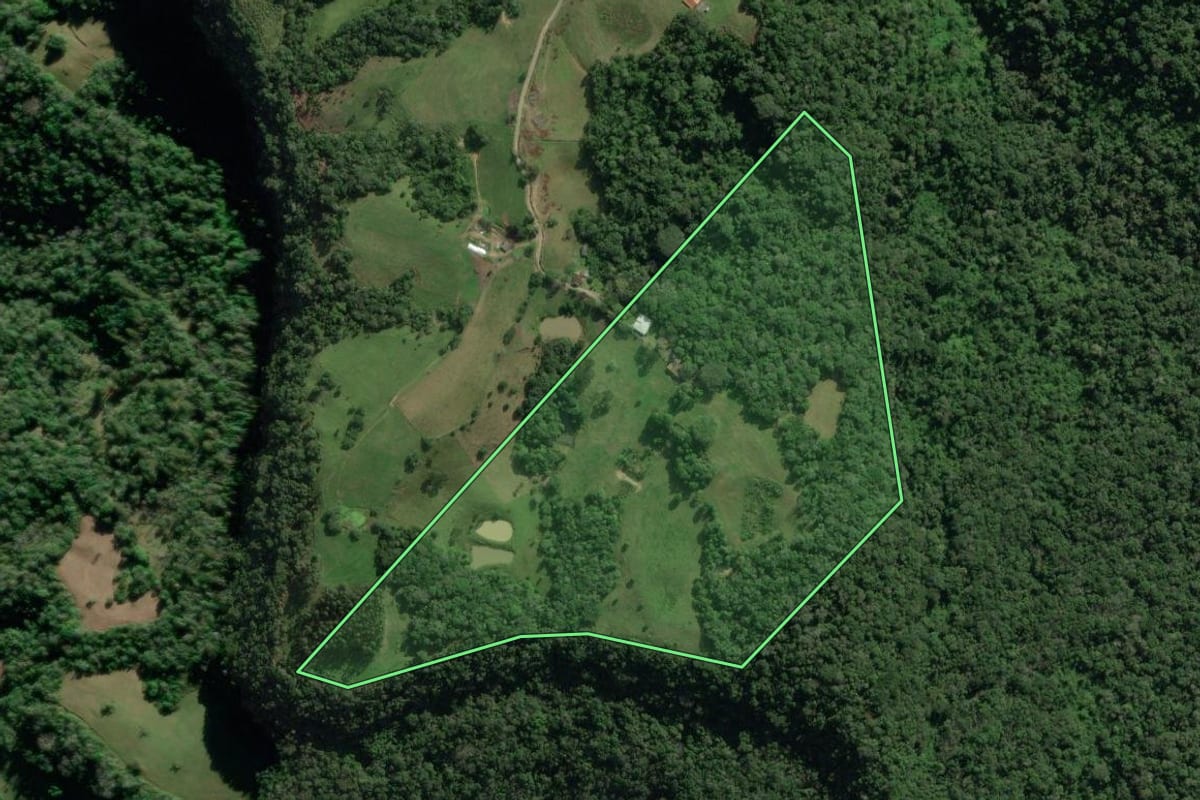 Imagem de satélite do imóvel rural em Rio do Sul (SC), com o contorno declarado no CAR desenhado por cima.