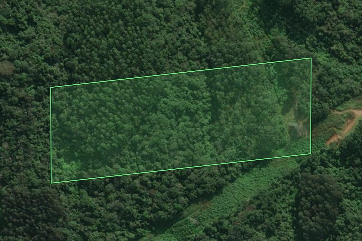 Imagem de satélite do imóvel rural em Rio do Sul (SC), com o contorno declarado no CAR desenhado por cima.