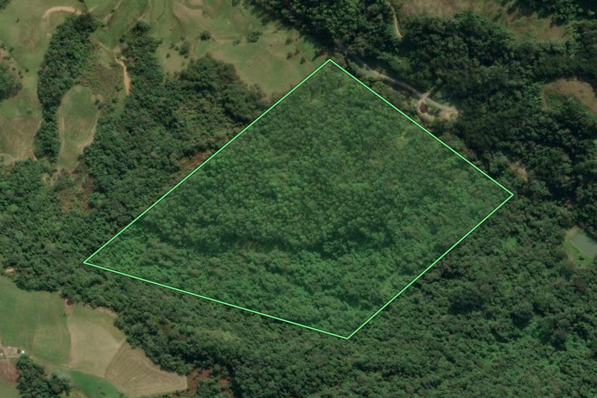 Imagem de satélite do imóvel rural em Rio do Sul (SC), com o contorno declarado no CAR desenhado por cima.