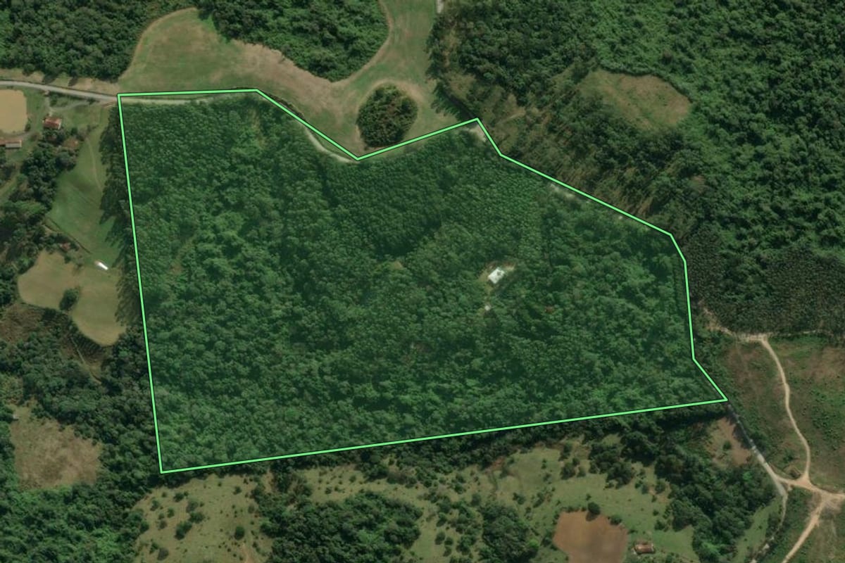 Imagem de satélite do imóvel rural em Rio do Sul (SC), com o contorno declarado no CAR desenhado por cima.