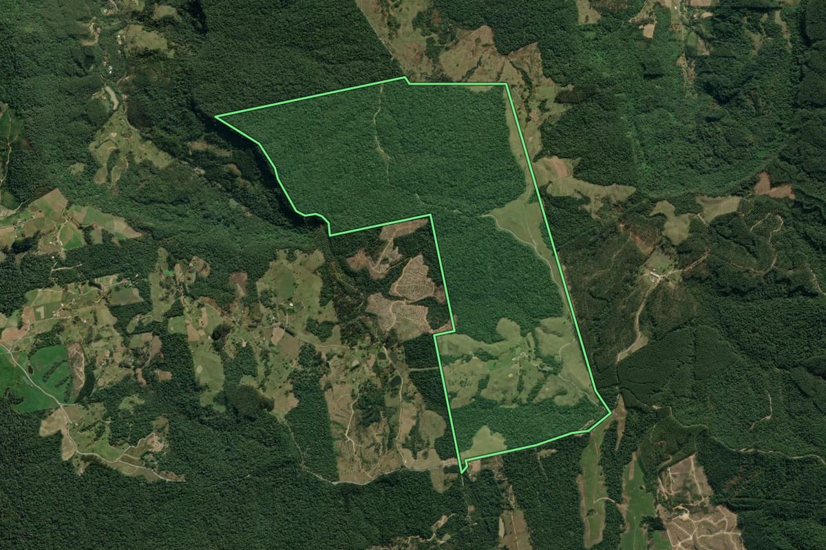 Imagem de satélite do imóvel rural em Rio do Sul (SC), com o contorno declarado no CAR desenhado por cima.