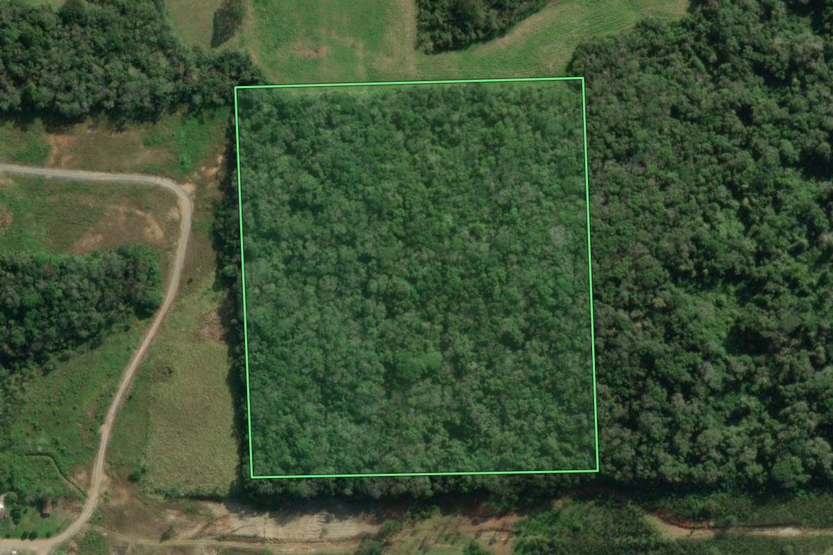 Imagem de satélite do imóvel rural em Rio do Sul (SC), com o contorno declarado no CAR desenhado por cima.