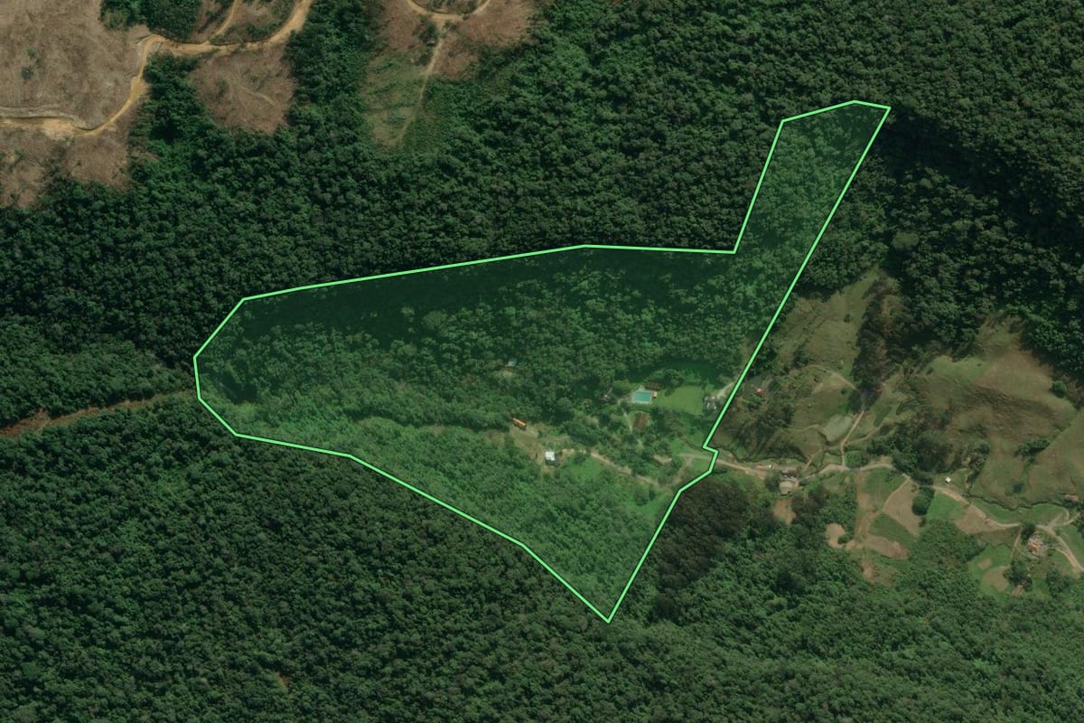 Imagem de satélite do imóvel rural em Rio do Sul (SC), com o contorno declarado no CAR desenhado por cima.