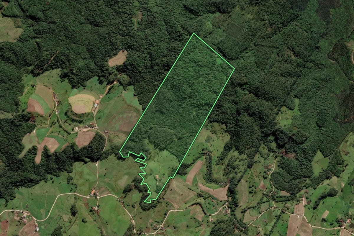 Imagem de satélite do imóvel rural em Rio Fortuna (SC), com o contorno declarado no CAR desenhado por cima.