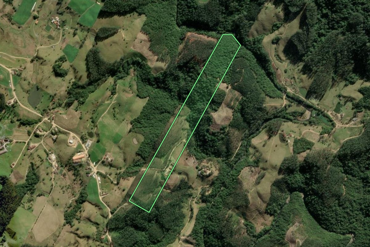 Imagem de satélite do imóvel rural em Rio Fortuna (SC), com o contorno declarado no CAR desenhado por cima.