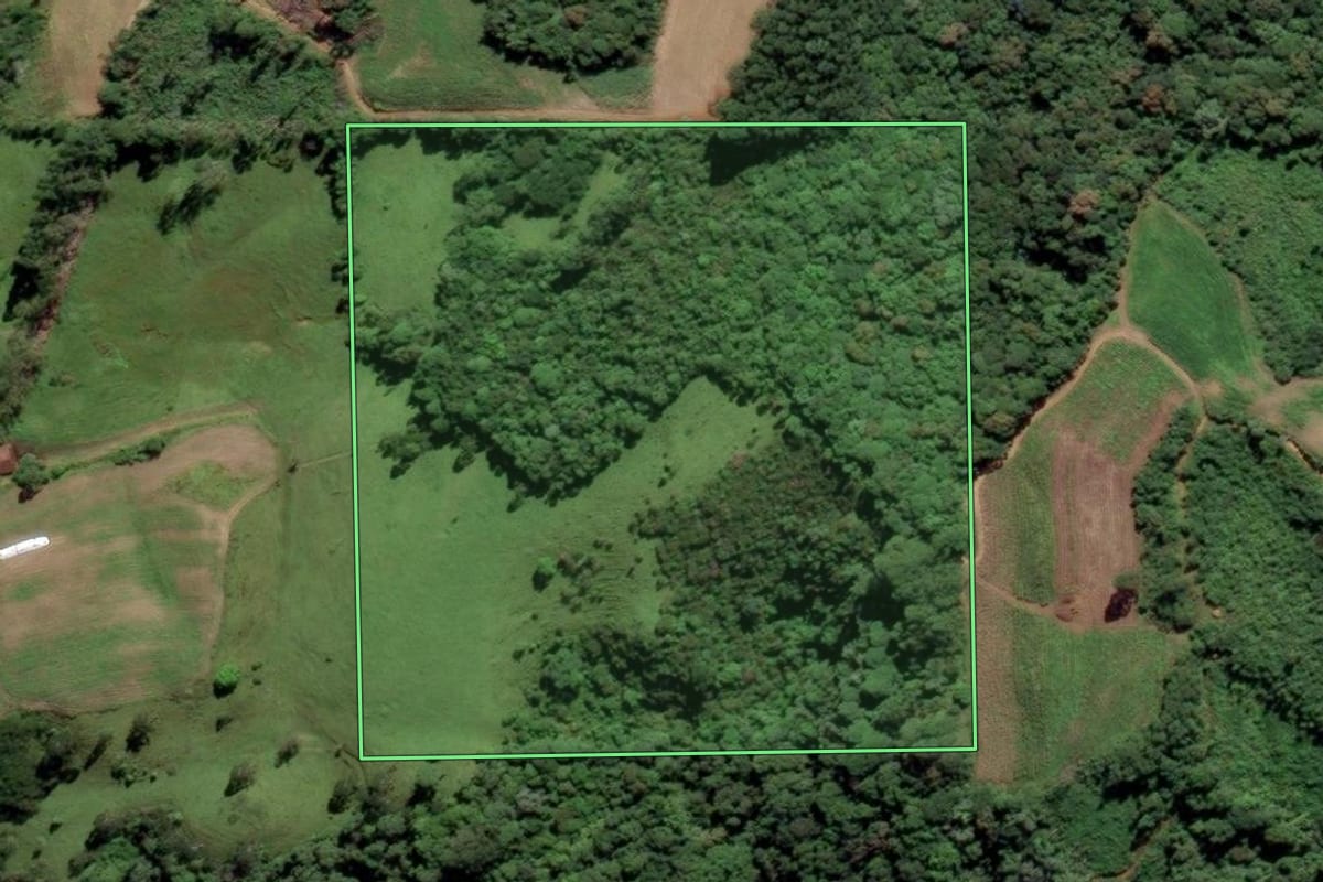 Imagem de satélite do imóvel rural em Rio Fortuna (SC), com o contorno declarado no CAR desenhado por cima.