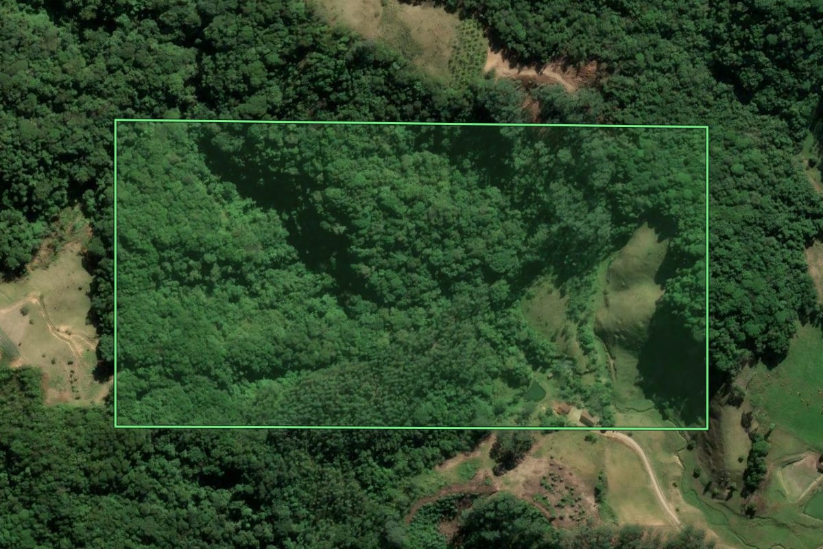 Imagem de satélite do imóvel rural em Rio Fortuna (SC), com o contorno declarado no CAR desenhado por cima.