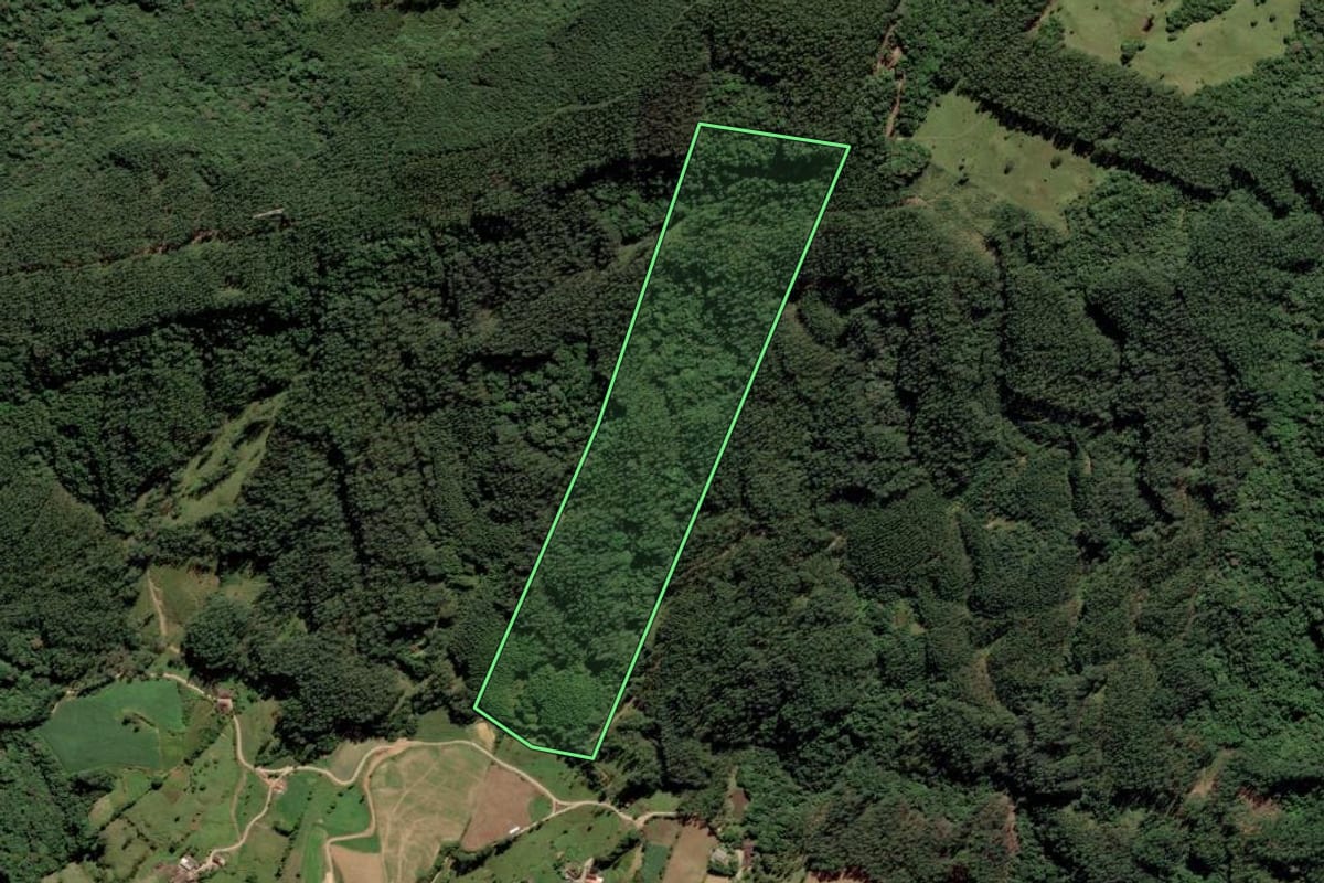 Imagem de satélite do imóvel rural em Rio Fortuna (SC), com o contorno declarado no CAR desenhado por cima.