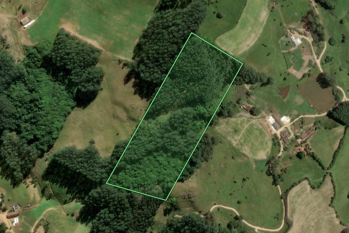 Imagem de satélite do imóvel rural em Rio Fortuna (SC), com o contorno declarado no CAR desenhado por cima.