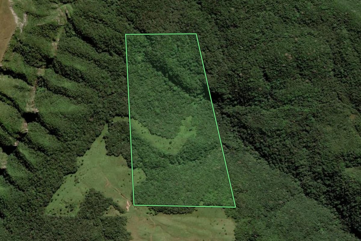 Imagem de satélite do imóvel rural em Rio Fortuna (SC), com o contorno declarado no CAR desenhado por cima.