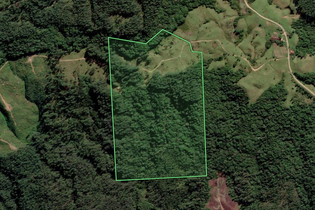 Imagem de satélite do imóvel rural em Rio Fortuna (SC), com o contorno declarado no CAR desenhado por cima.