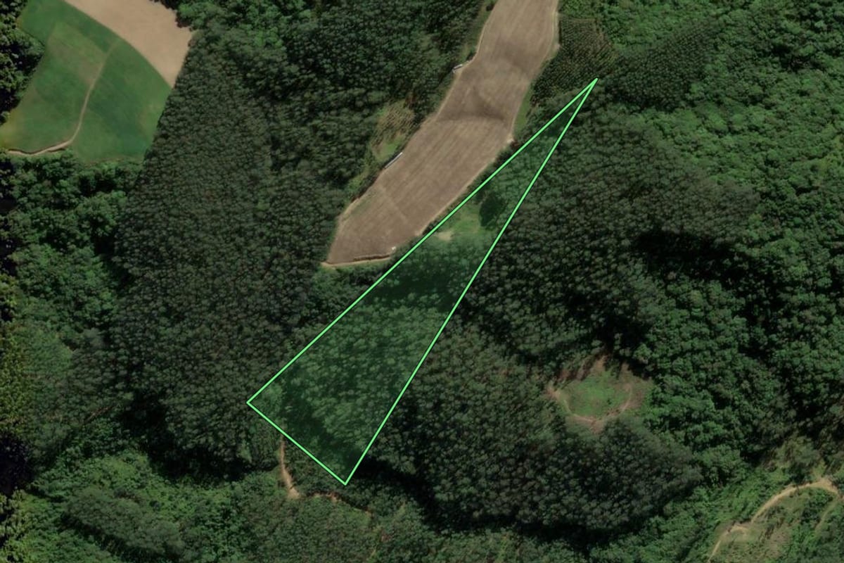 Imagem de satélite do imóvel rural em Rio Fortuna (SC), com o contorno declarado no CAR desenhado por cima.