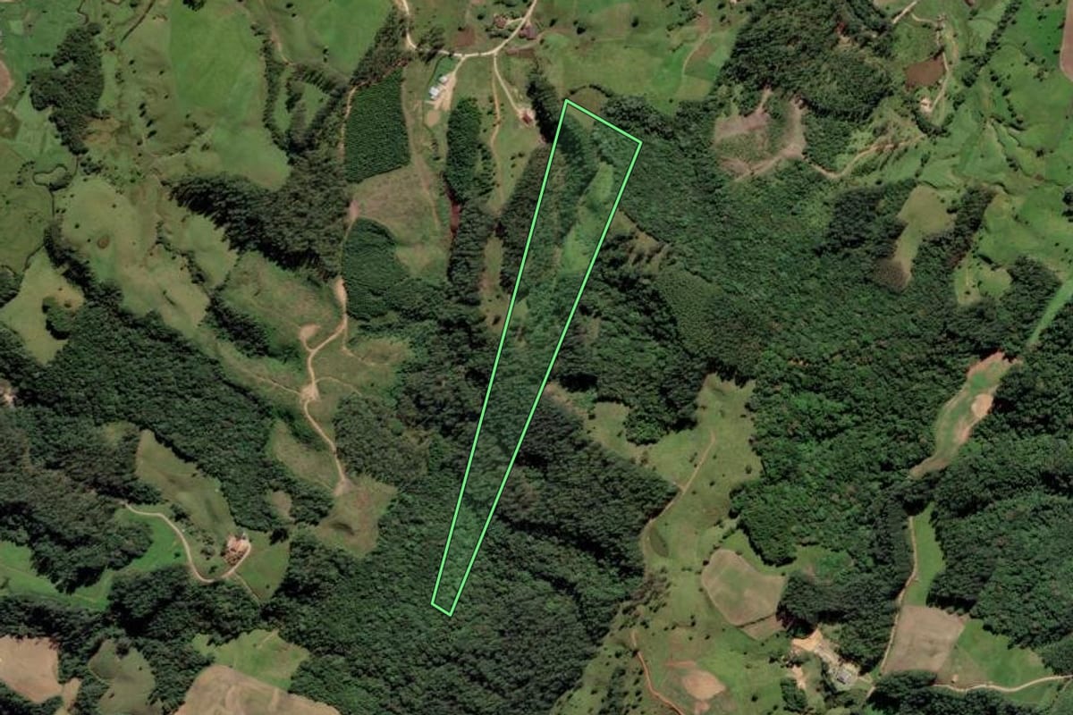 Imagem de satélite do imóvel rural em Rio Fortuna (SC), com o contorno declarado no CAR desenhado por cima.