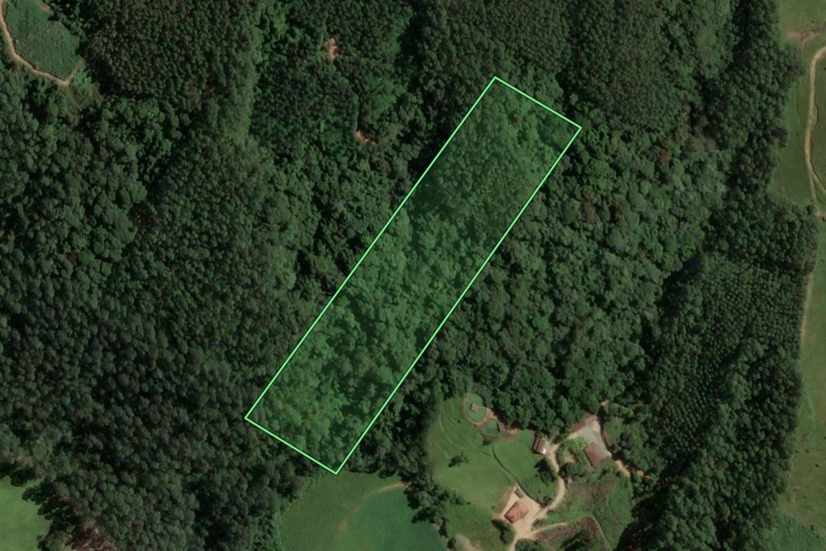 Imagem de satélite do imóvel rural em Rio Fortuna (SC), com o contorno declarado no CAR desenhado por cima.