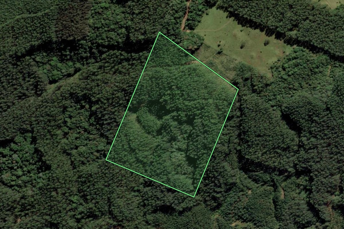 Imagem de satélite do imóvel rural em Rio Fortuna (SC), com o contorno declarado no CAR desenhado por cima.