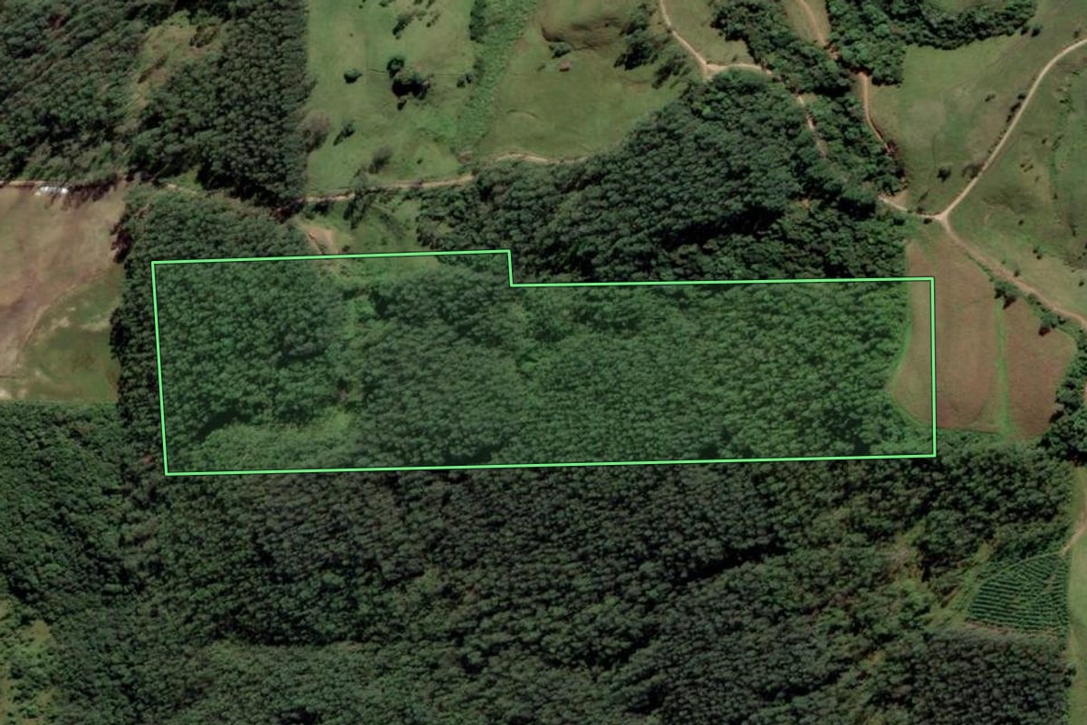 Imagem de satélite do imóvel rural em Rio Fortuna (SC), com o contorno declarado no CAR desenhado por cima.