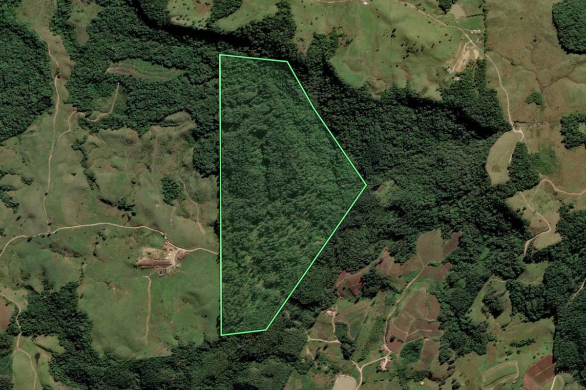 Imagem de satélite do imóvel rural em Rio Fortuna (SC), com o contorno declarado no CAR desenhado por cima.