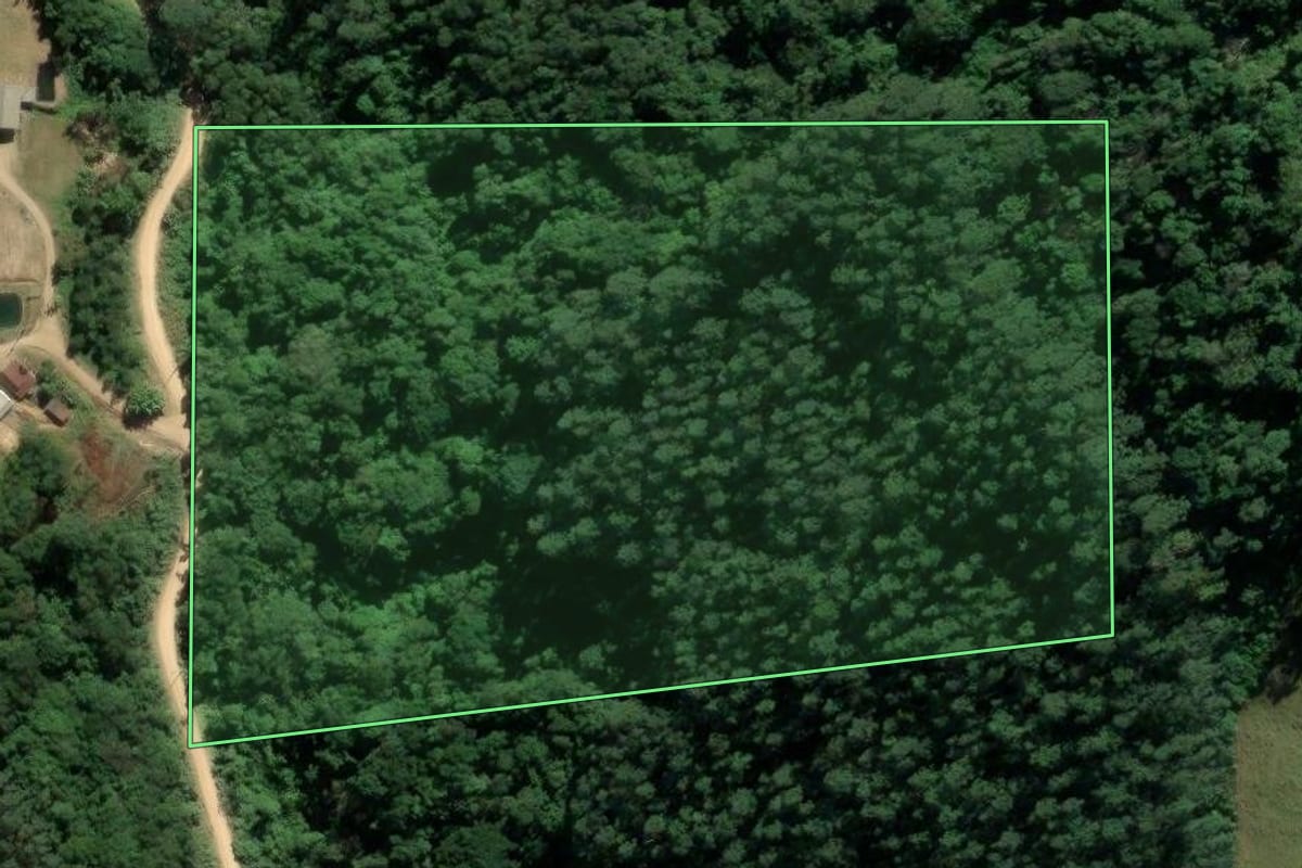 Imagem de satélite do imóvel rural em Rio Fortuna (SC), com o contorno declarado no CAR desenhado por cima.