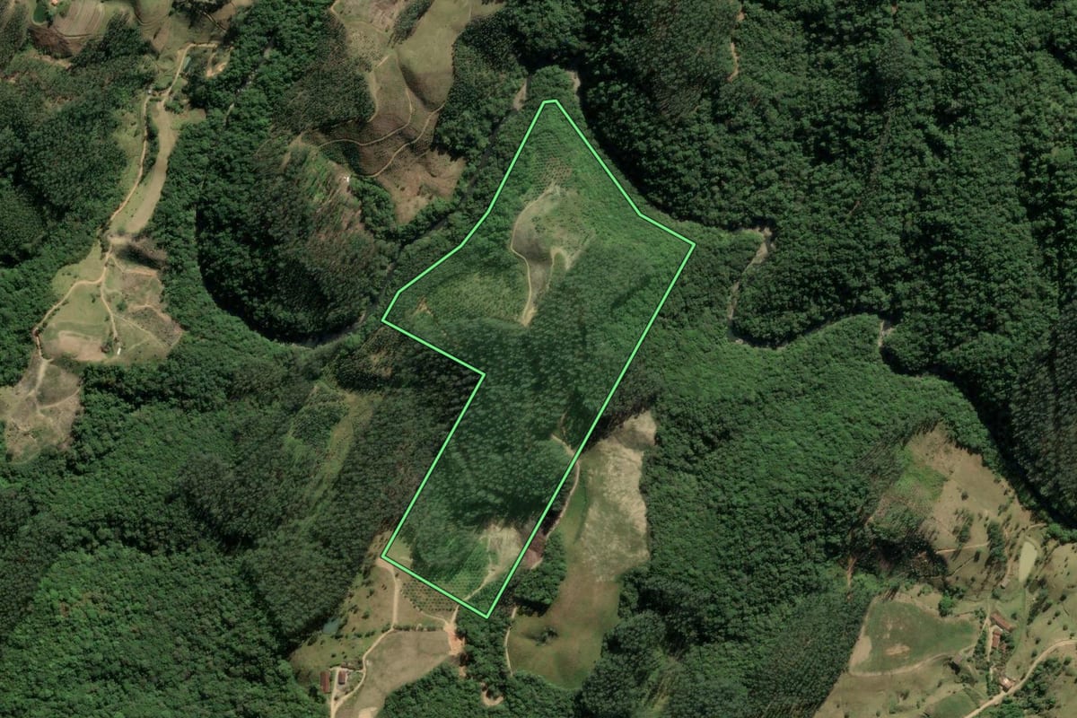 Imagem de satélite do imóvel rural em Rio Fortuna (SC), com o contorno declarado no CAR desenhado por cima.