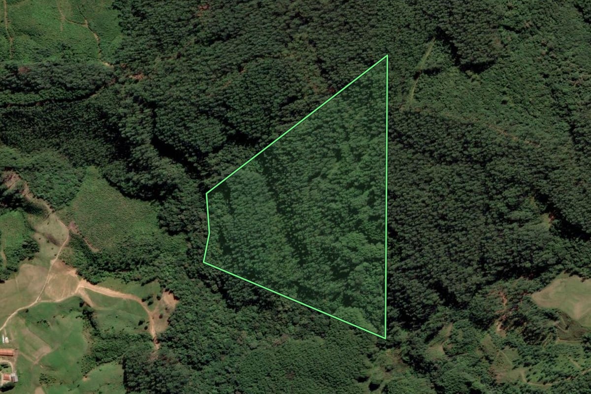 Imagem de satélite do imóvel rural em Rio Fortuna (SC), com o contorno declarado no CAR desenhado por cima.
